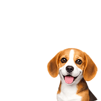 https://i.simpalsmedia.com/999.md/images/icons/6d476bc4ffa47409256a1a45d885d804.png