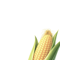 https://i.simpalsmedia.com/999.md/images/icons/faa878fc782f88eb91dfa92088474300.png